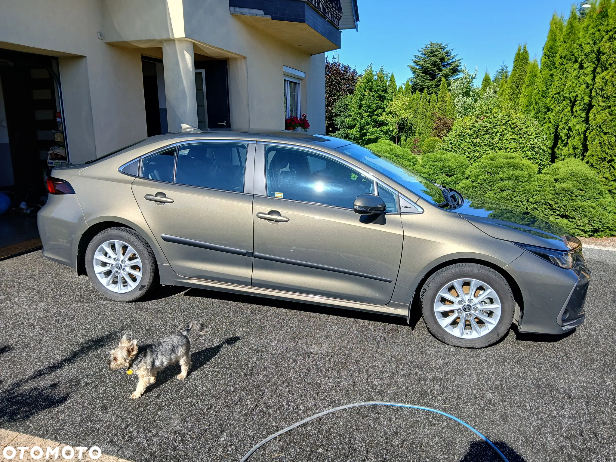Toyota Corolla 1.5 Comfort - 3