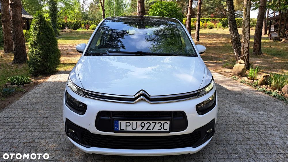 Citroën C4 Picasso BlueHDi 120 EAT6 Business Class - 19