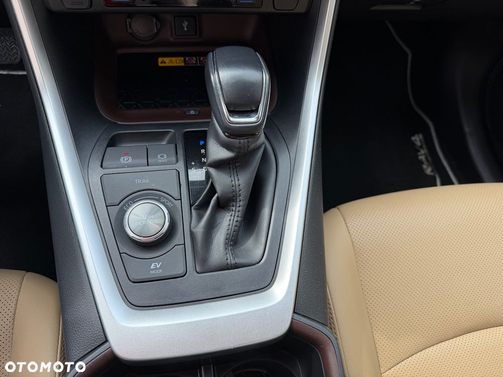 Toyota RAV4 2.5 Hybrid Executive 4x4 - 22