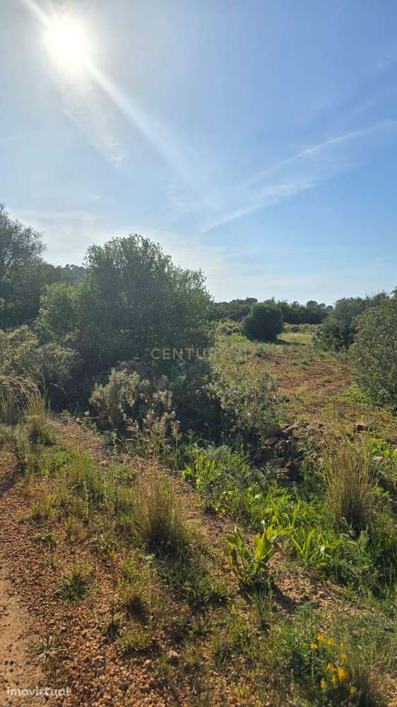 Terreno Rústico com 4950 m2 localizado em Monteiros, São Sebastião, Lo - Grande imagem: 5/8