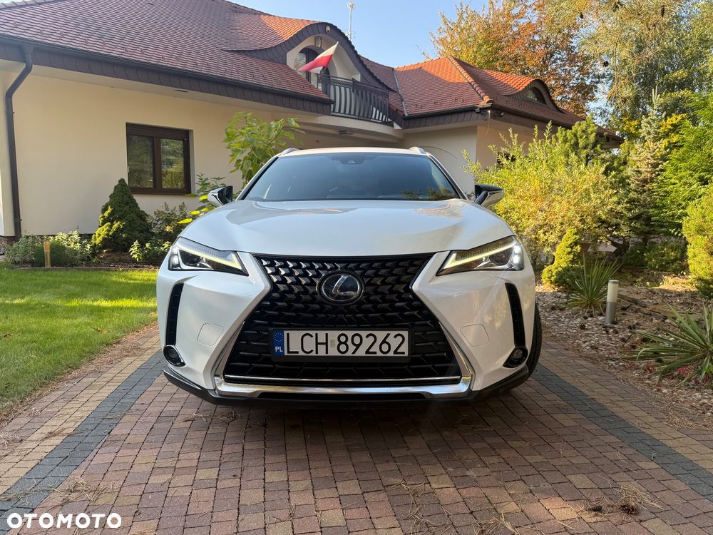 Lexus Ux 2020 photo 2