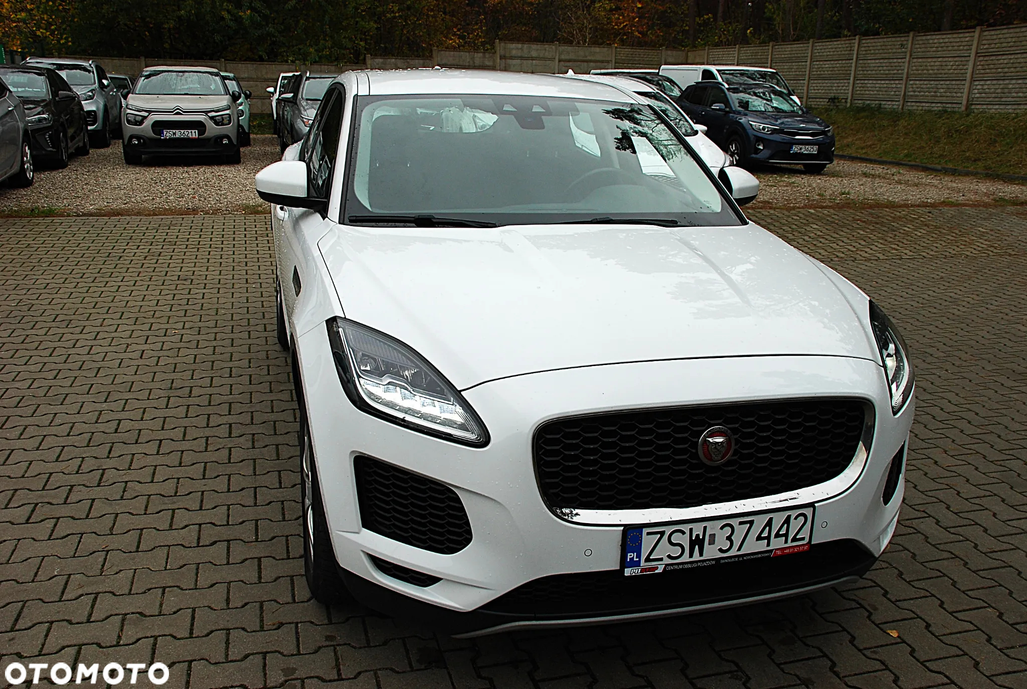 Jaguar E-Pace D150 R-Dynamic - 3