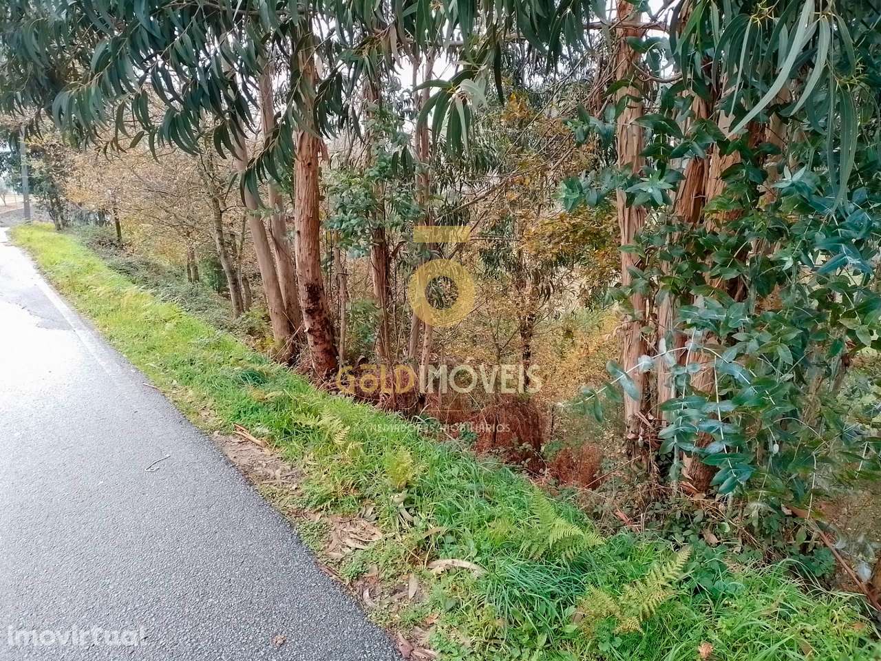 Terreno Rústico  Venda em Souselo,Cinfães - Grande imagem: 3/6