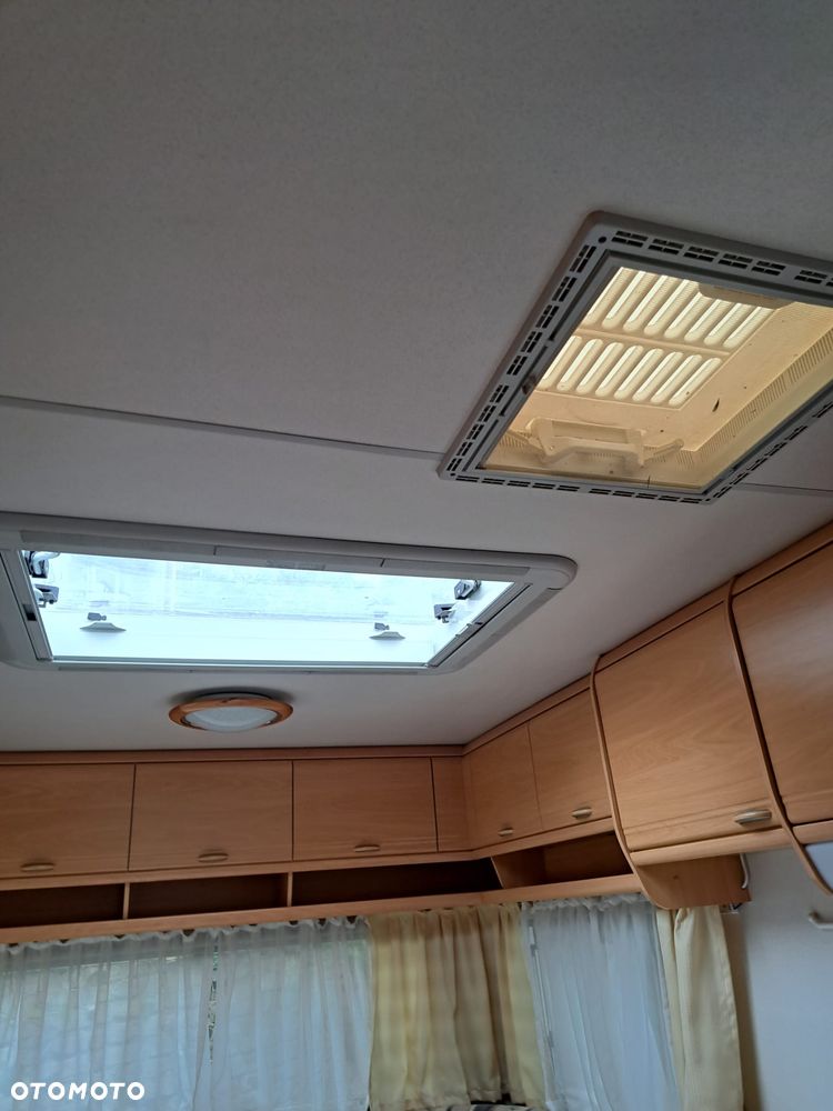 Wilk SPORT 490 - 14