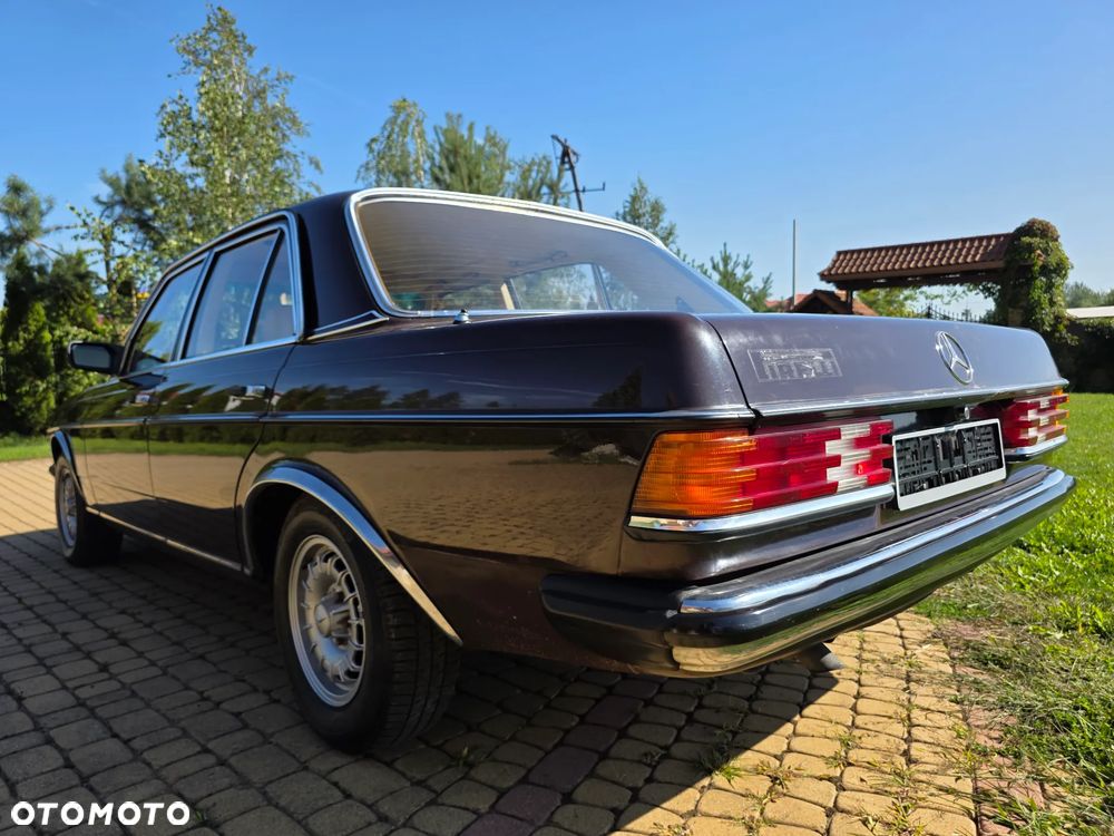Mercedes-Benz W123 - 39