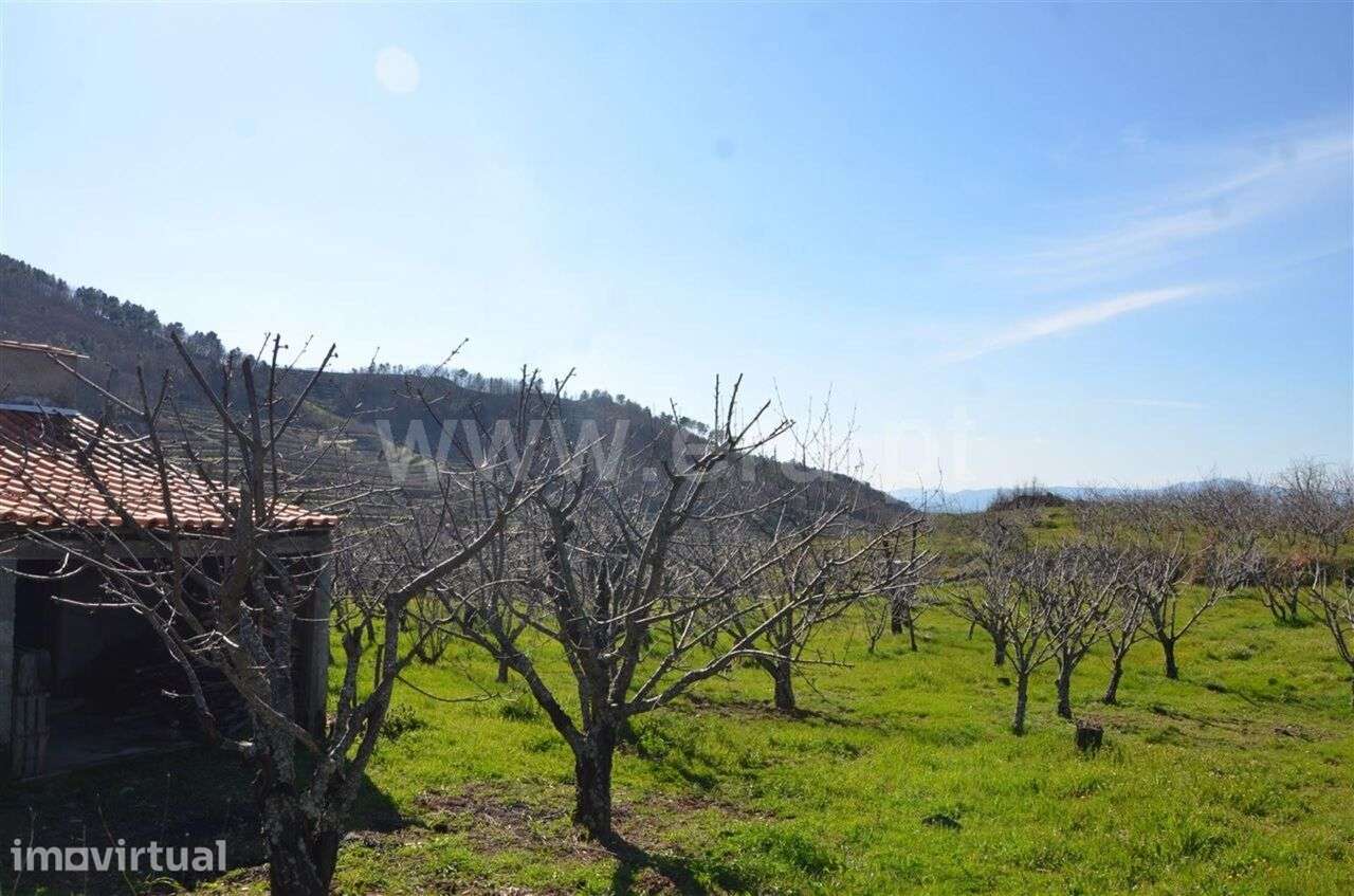 Quinta / Fundão, Aldeia de Joanes - Grande imagem: 2/12