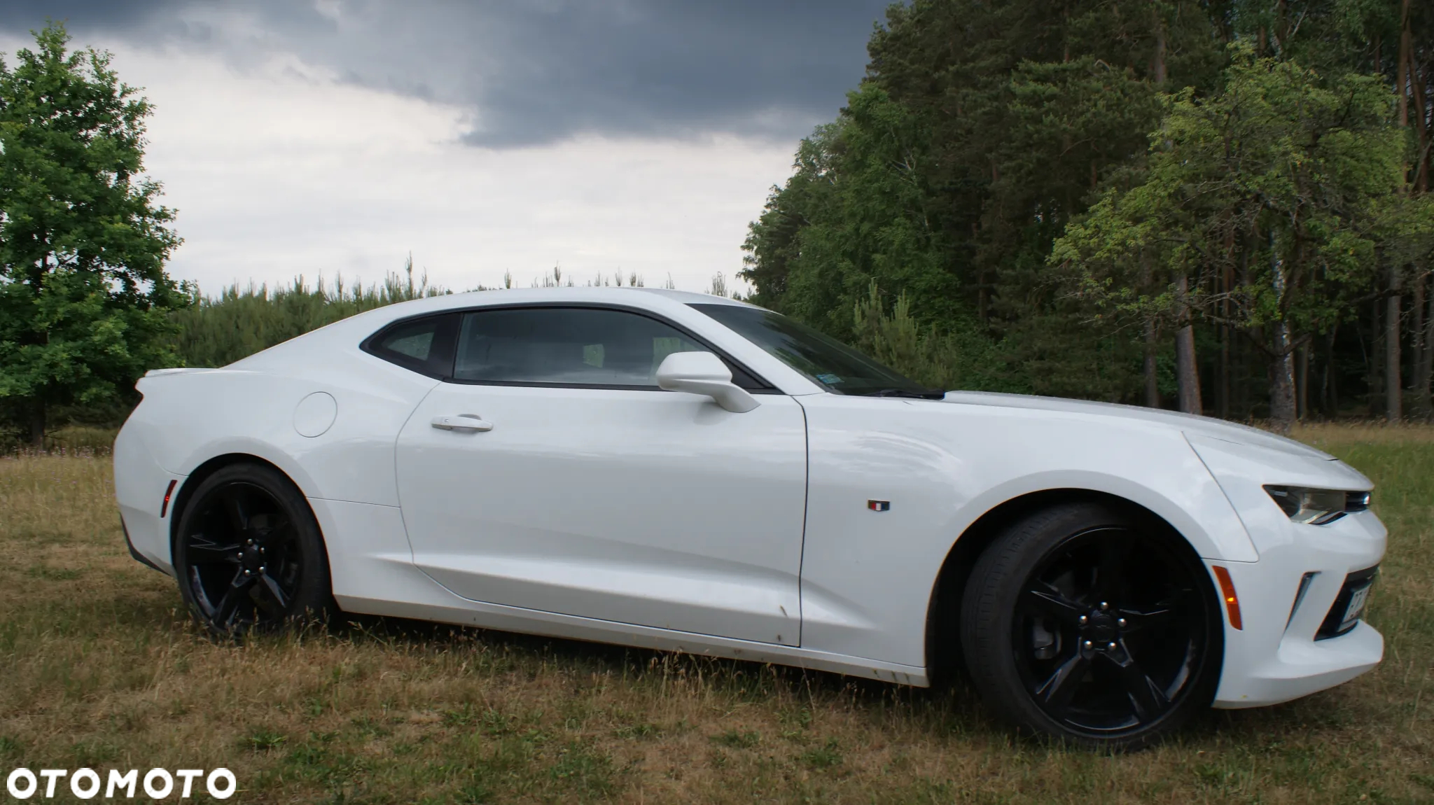 Chevrolet Camaro Coupe 2.0 - 3
