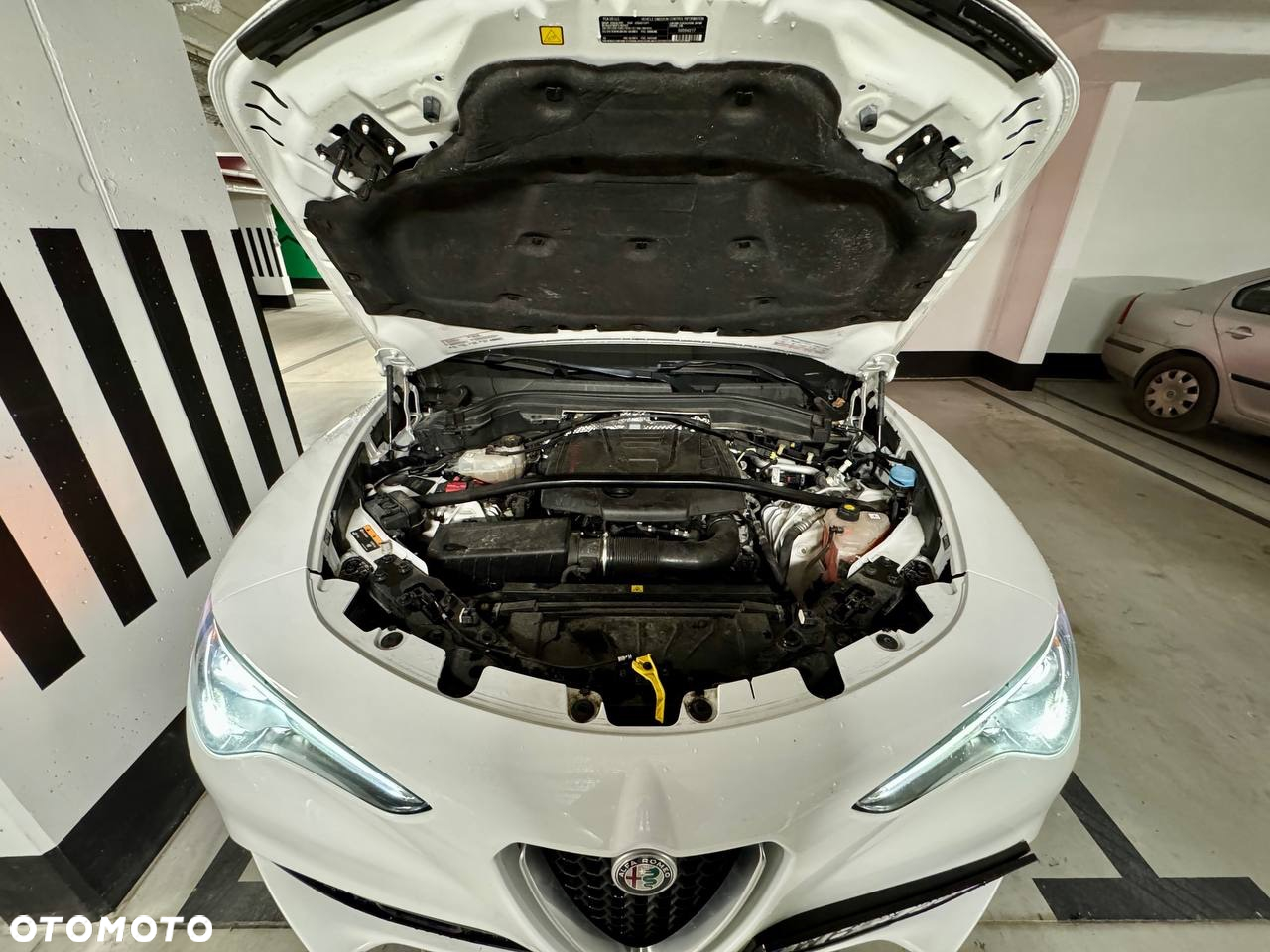 Alfa Romeo Stelvio 2.0 Turbo TI Q4 - 8
