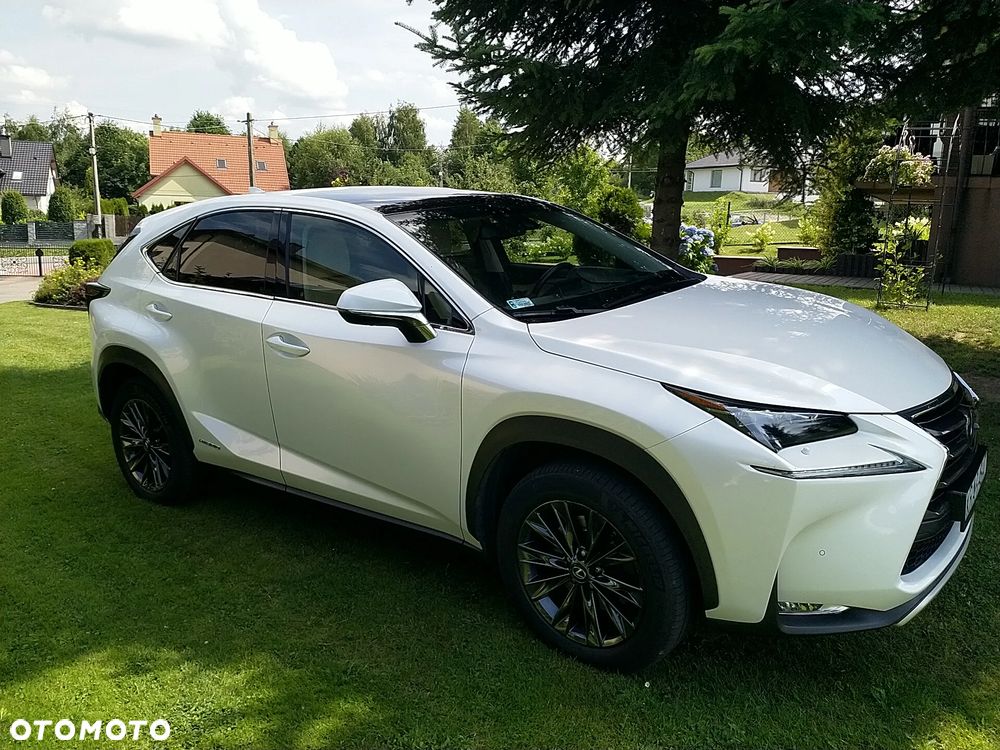 Lexus NX 300h Prestige AWD - 34