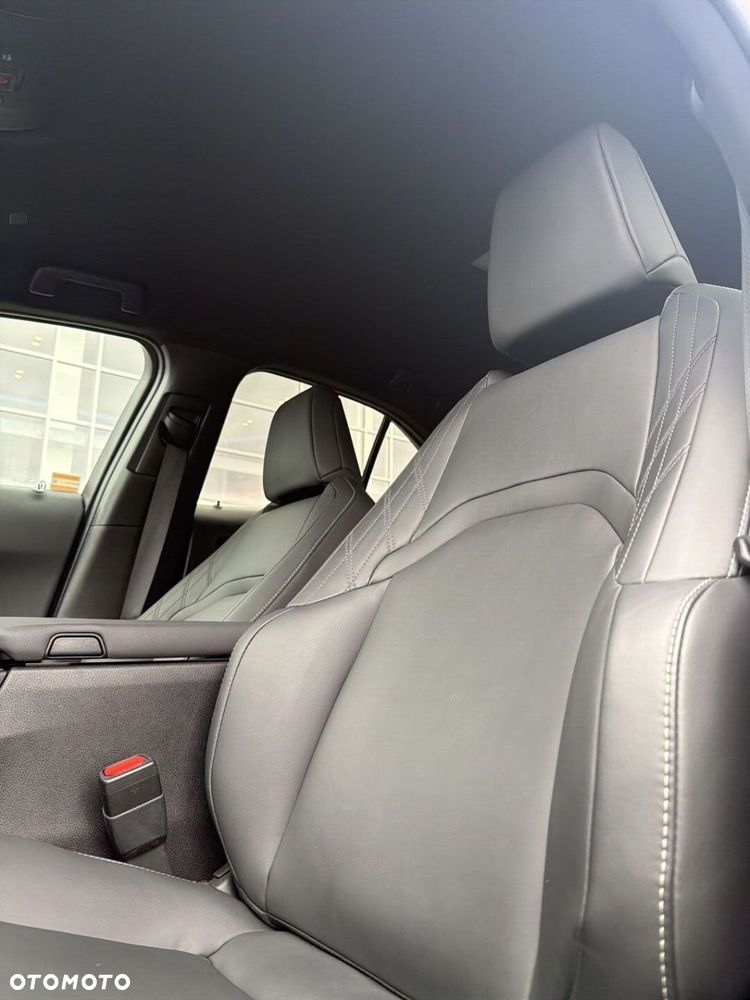 Lexus UX 250h GPF F Sport Design 2WD - 12