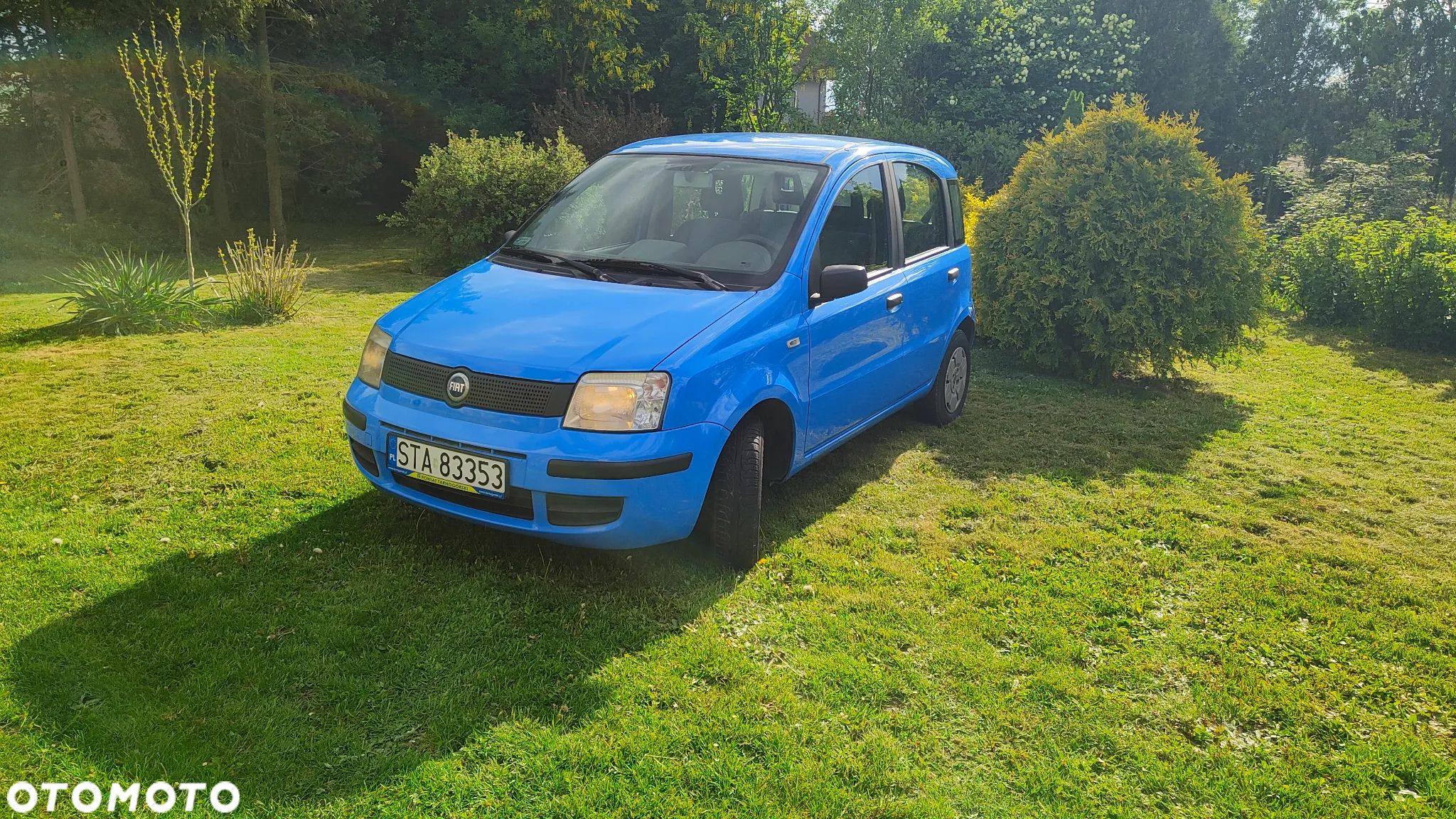 Fiat Panda - 1
