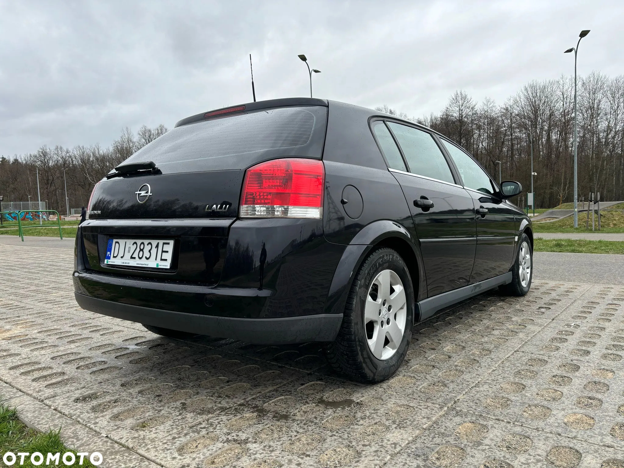 Opel Signum 2.2 Business Executive - 5