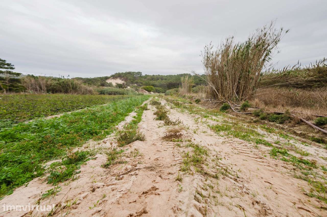 Terreno Rústico com 3.800 m² em Ferrel - Grande imagem: 2/3