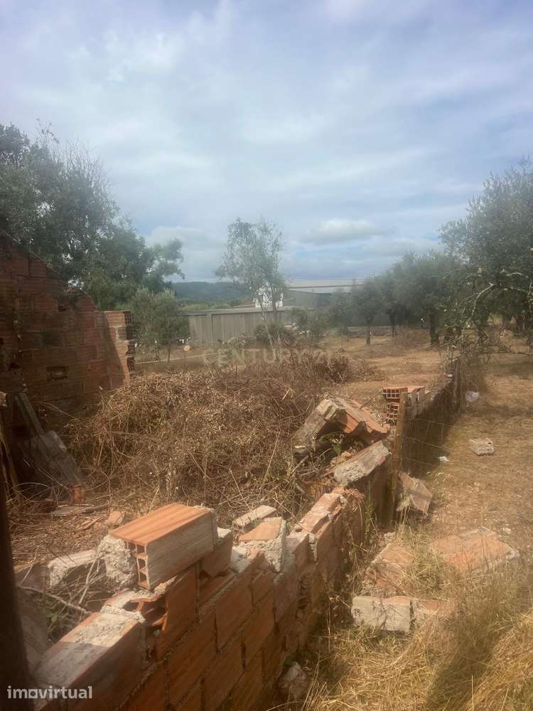 Oportunidade Única: Terreno em Almofala, Figueiró dos Vinhos - Grande imagem: 3/5