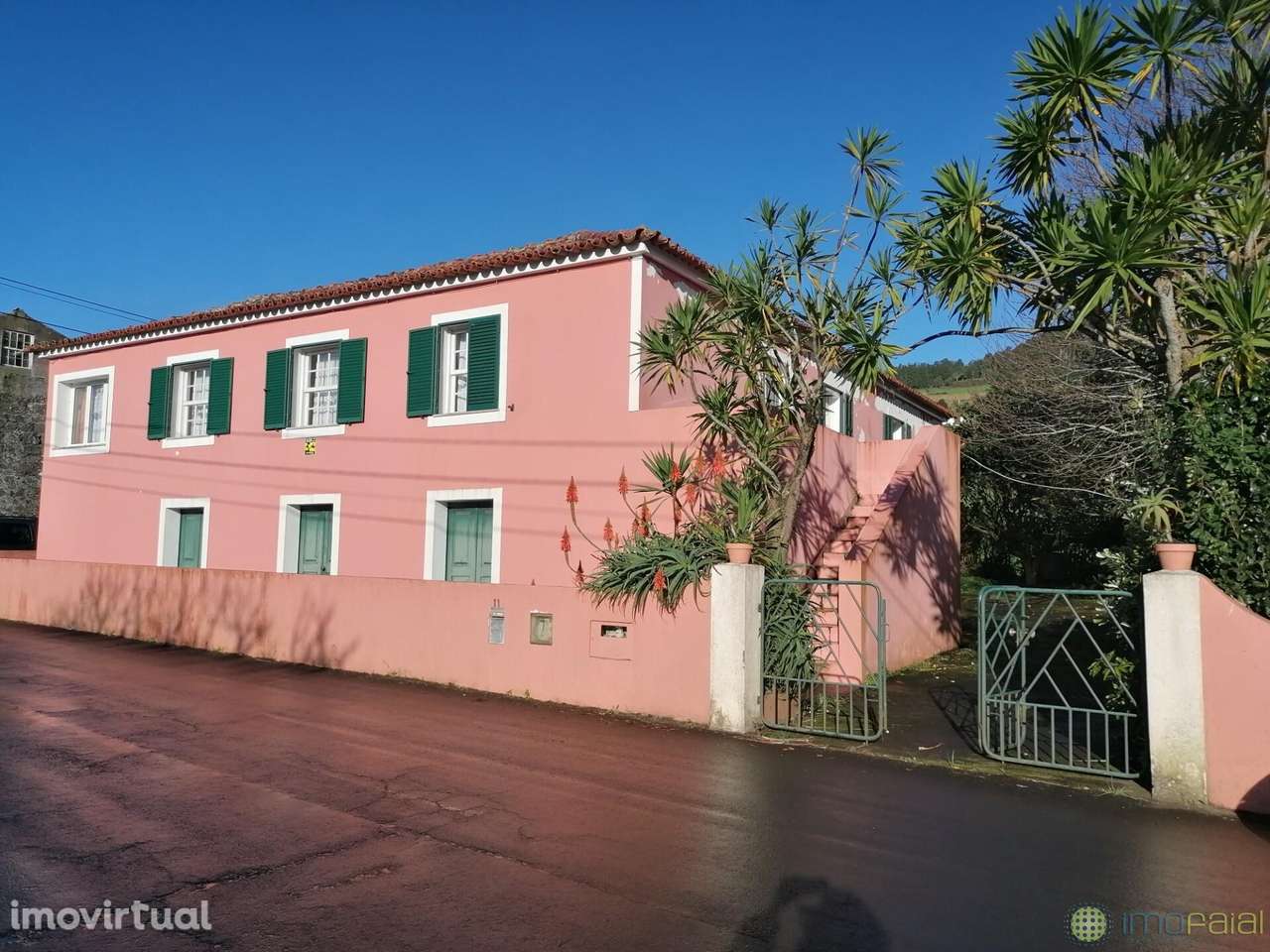 T3 c/Marquise| Flamengos - Grande imagem: 3/43