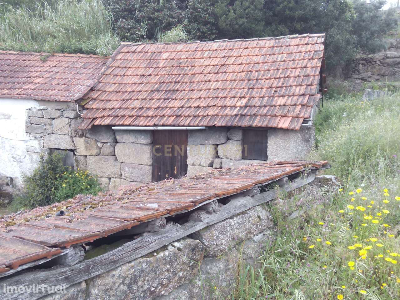 Terreno com 2,65 hectares e duas moradias em pedra para restaurar — Ab - Grande imagem: 2/22