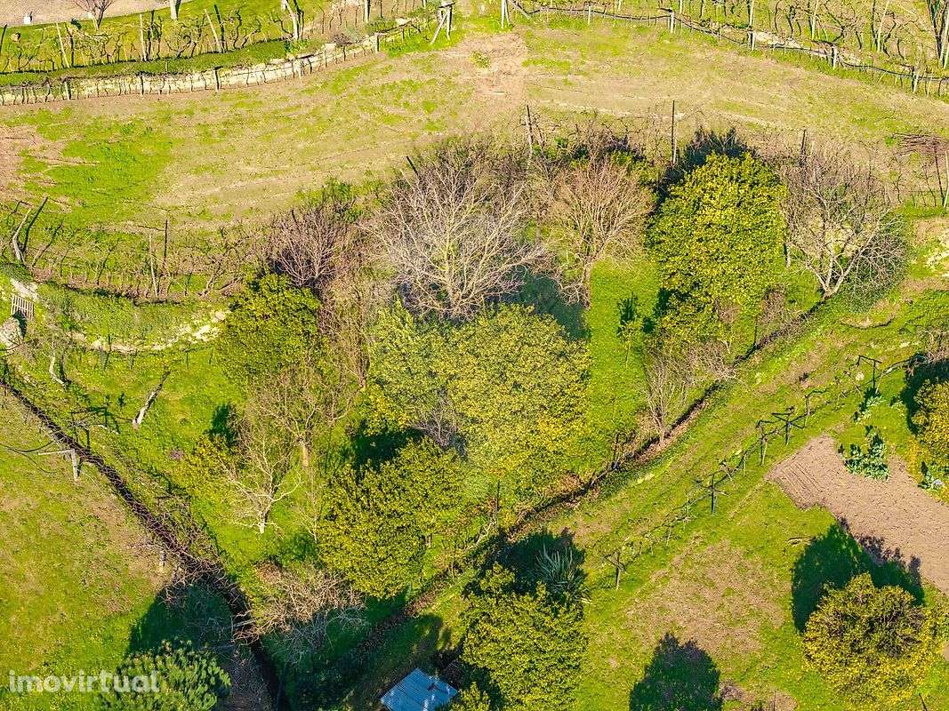 Terreno  para venda - Grande imagem: 3/4