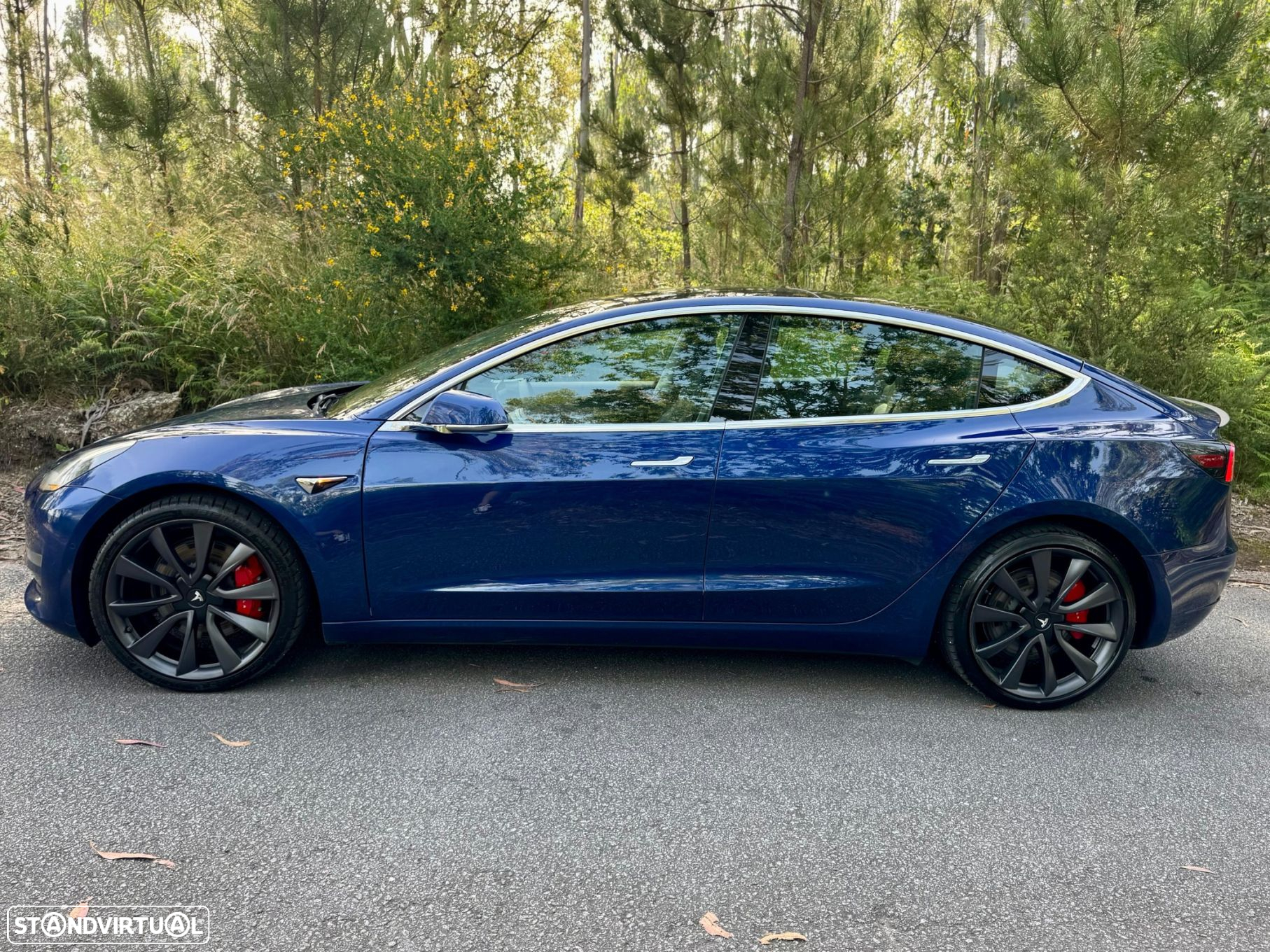 Tesla Model 3 Performance Dual Motor AWD - 31