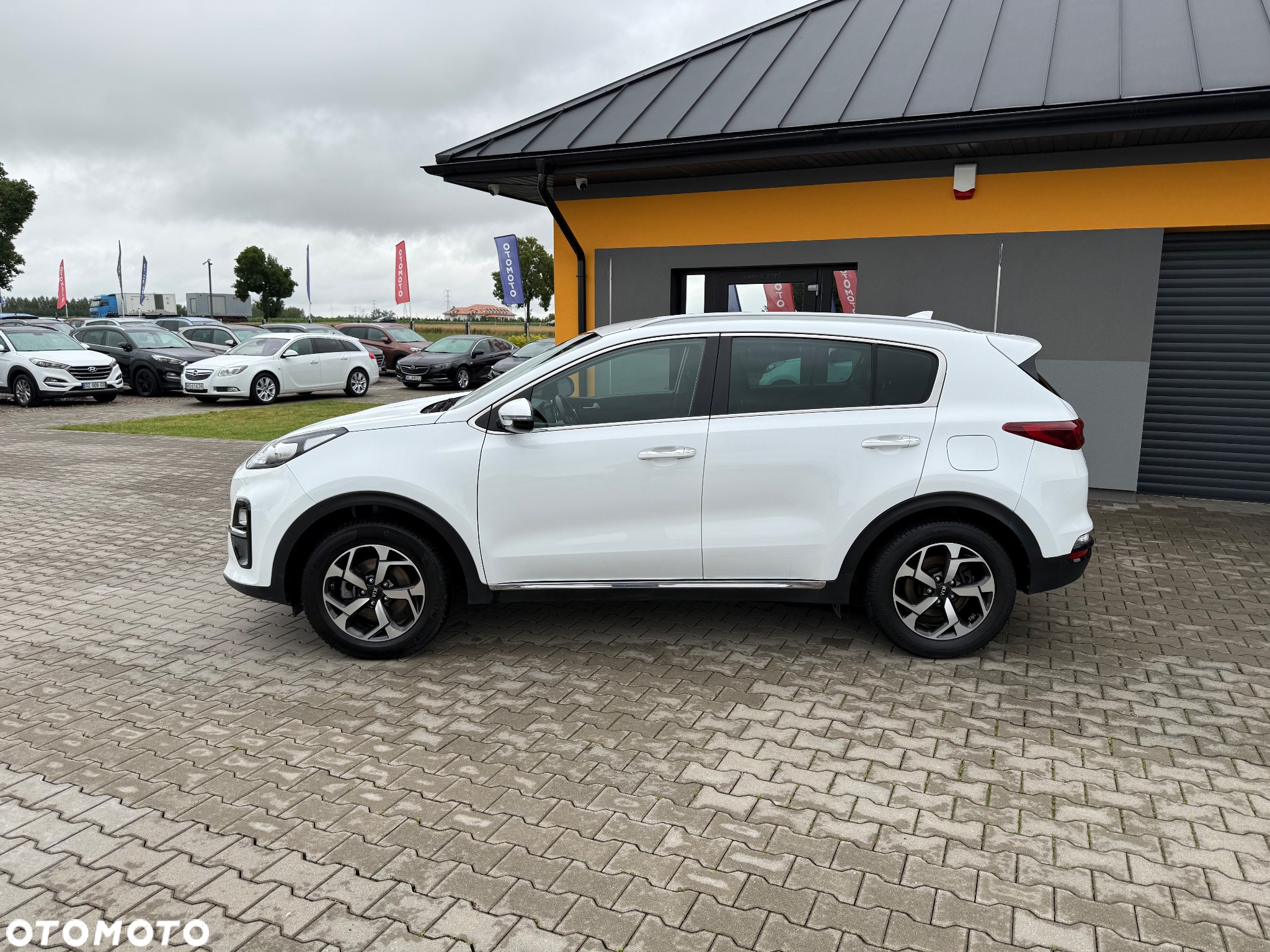 Kia Sportage 1.6 CRDI L Business Line Plus 2WD - 11