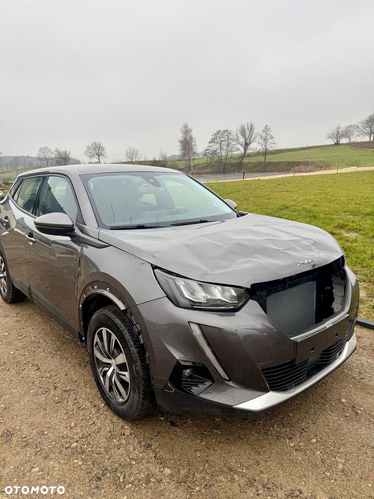 Peugeot 2008 PureTech 100 Active - 2