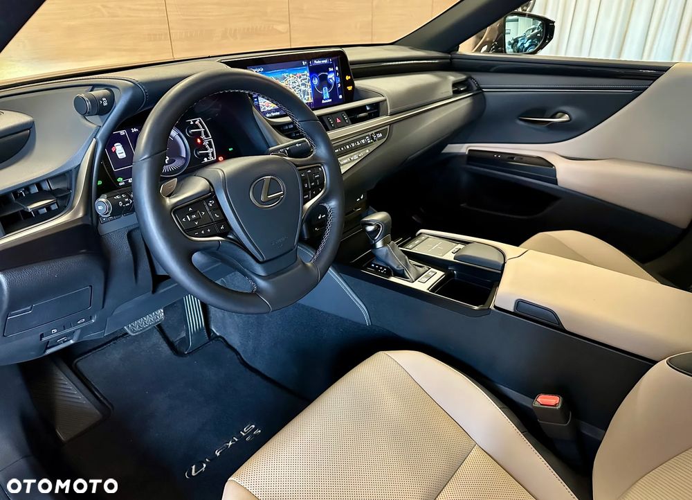 Lexus ES 300h Business Edition + - 13