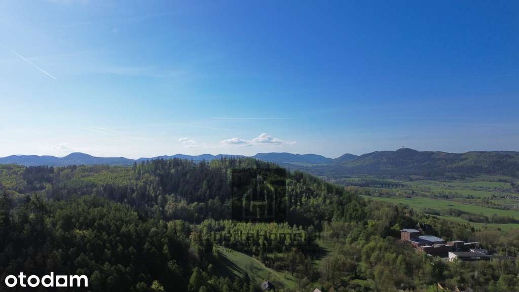 Leśne Zacisze | Działka 752 m² przy lesie - Pełny obrazek: 2/8