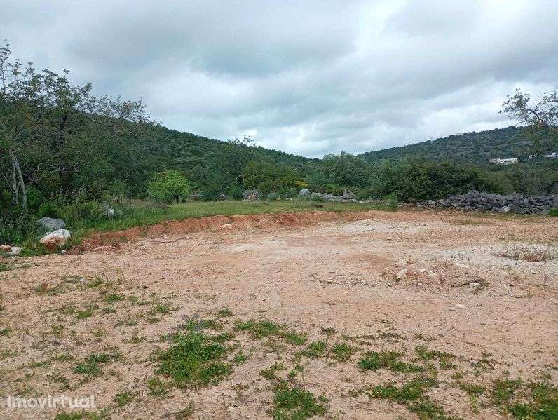 Terrenos Rústicos em Vale Judeu - Grande imagem: 2/4