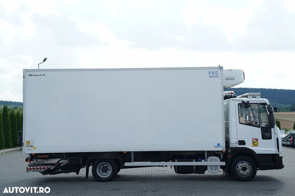 MAN EUROCARGO / 4x2 / FRIGIDER 5.5 M / CAMIOANĂ SUPRA 550 UNITĂȚI / DHOLLANDIA LIFT / EURO 6 - 7