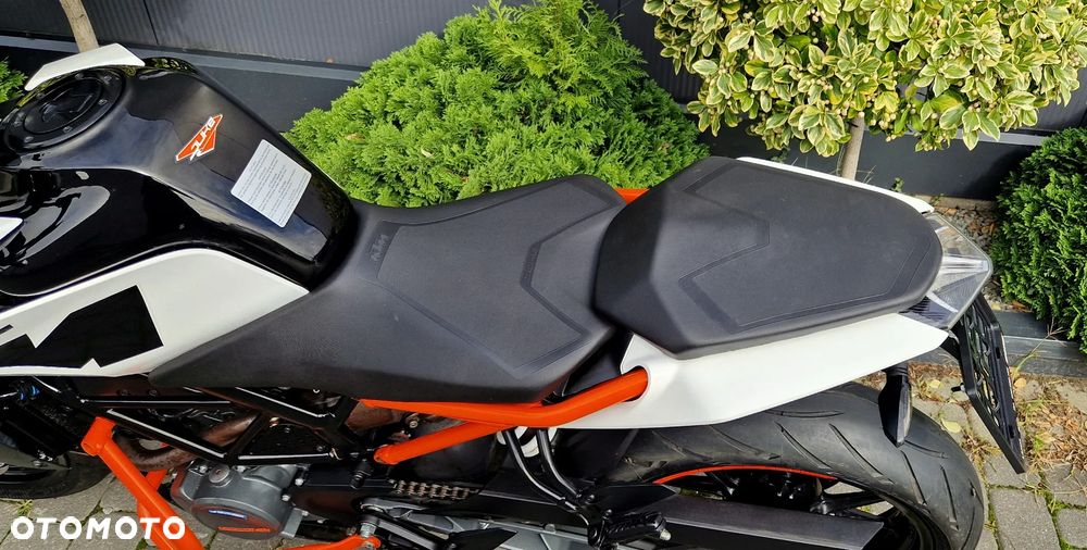 KTM Duke - 29