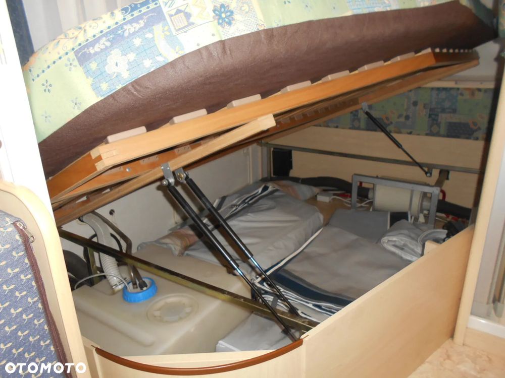 TEC SIENA SAPHIR 390 - 23