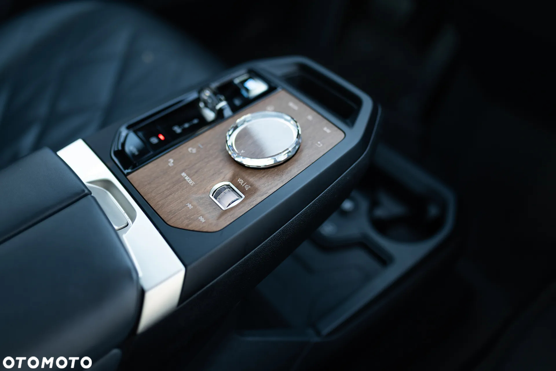 BMW iX - 19