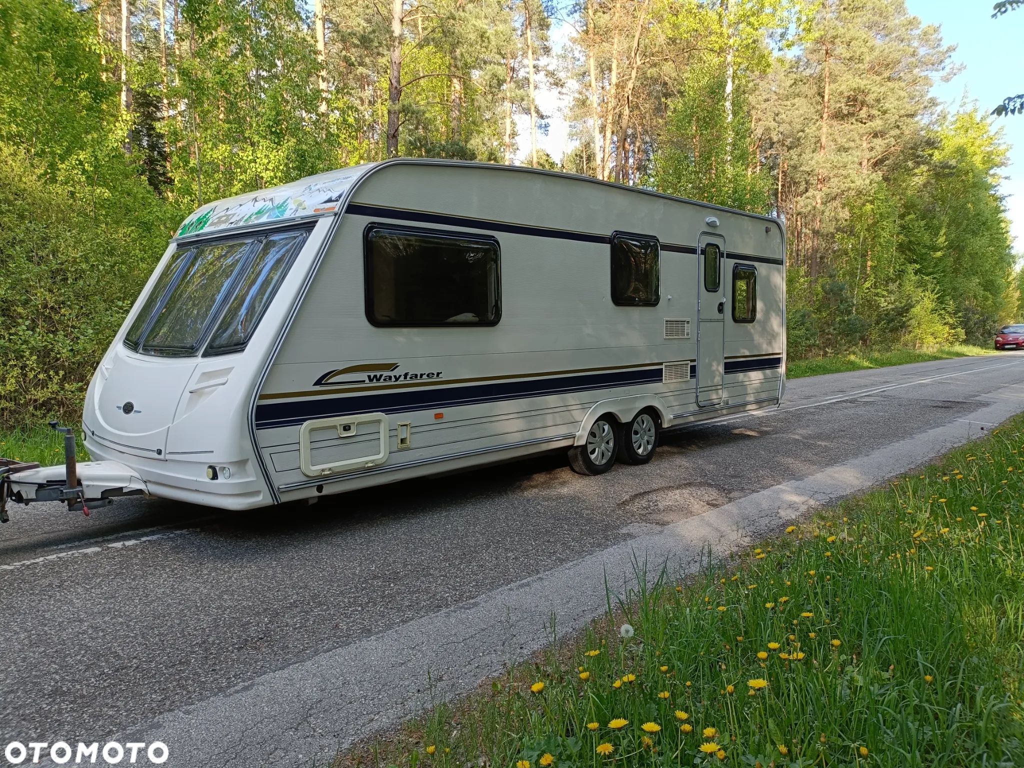 Sterckeman Elite wayfarer - 38