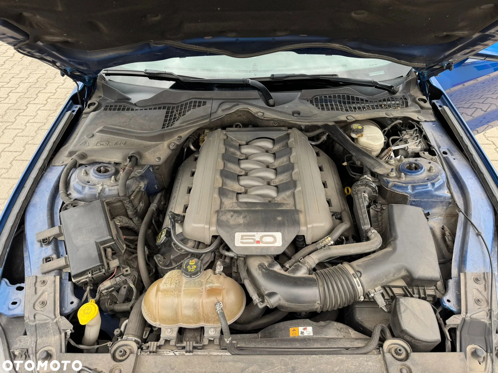 Ford Mustang 5.0 V8 GT - 15