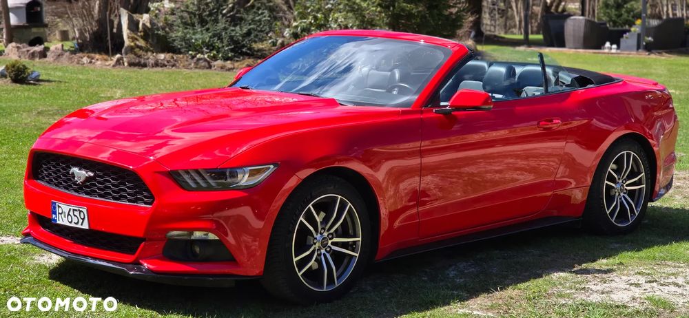 Ford Mustang Cabrio 2.3 Eco Boost - 9