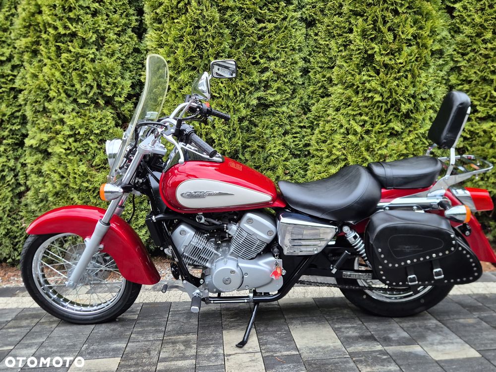Honda Shadow - 4