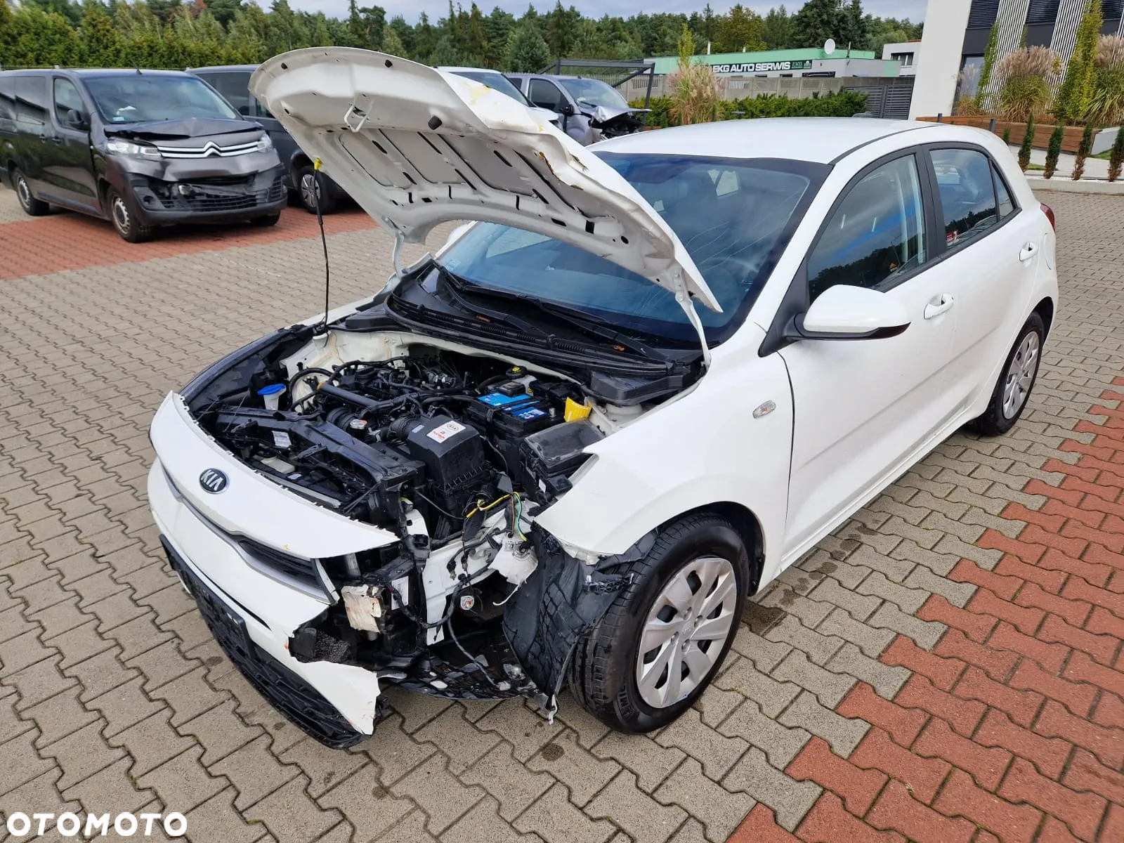 Kia Rio 1.2 M - 8
