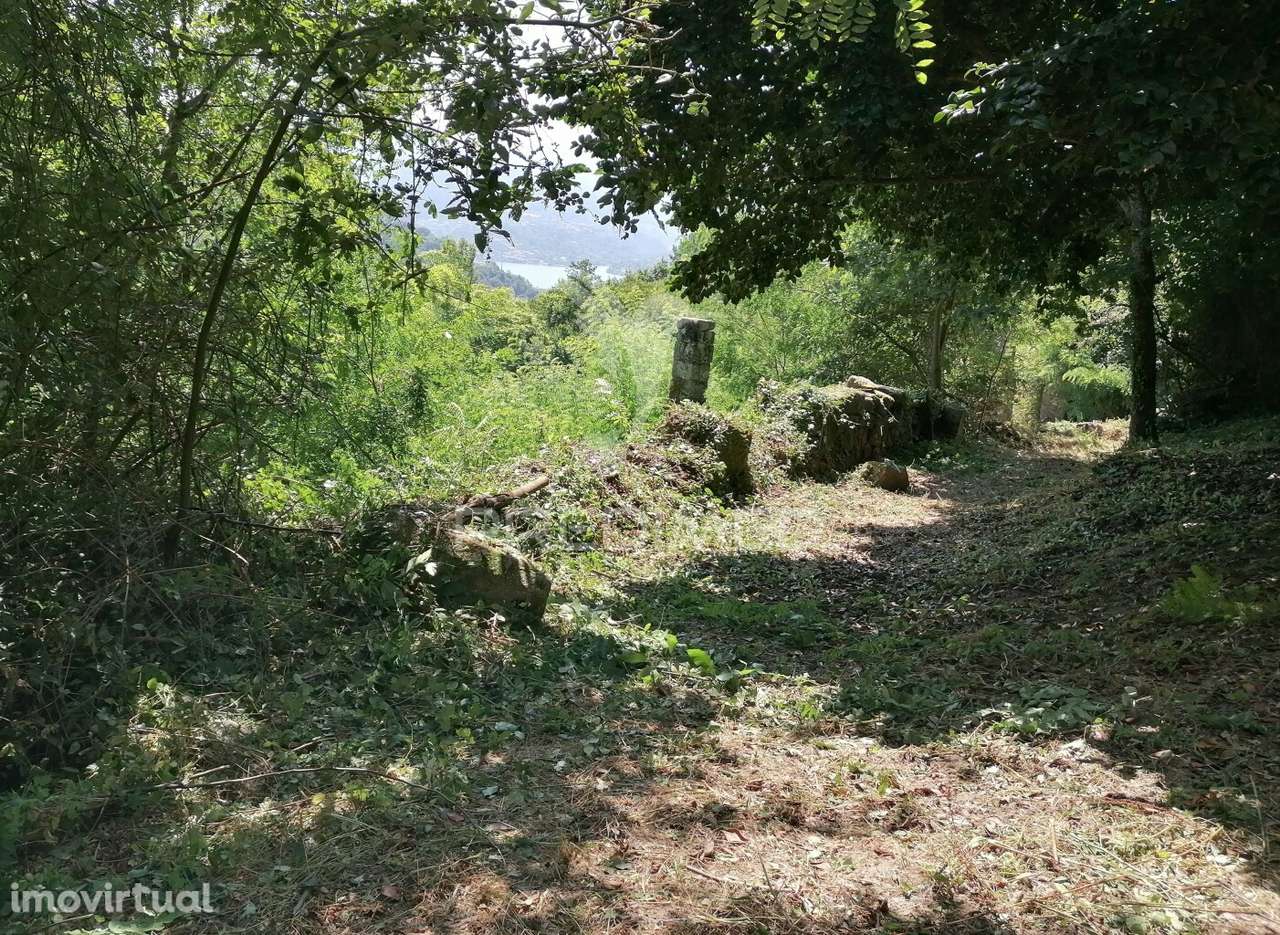 Quinta com excelentes vista sobreo rio Douro  75 Km do Porto - Grande imagem: 4/33