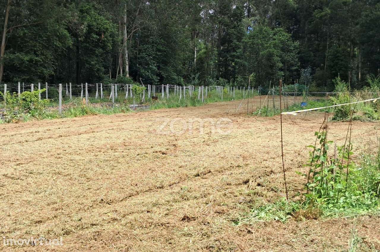 Terreno rústico com 5.670 M2 em Fradelos V.N. Famalicão - Grande imagem: 2/25