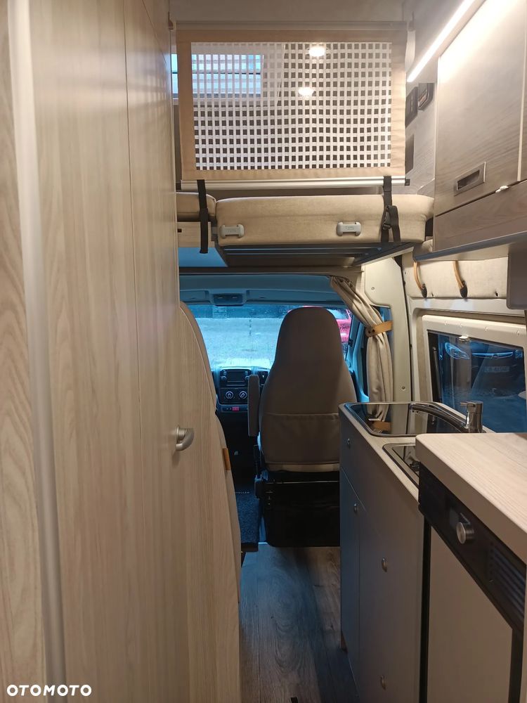 Globe-Traveller Pathfinder - 17