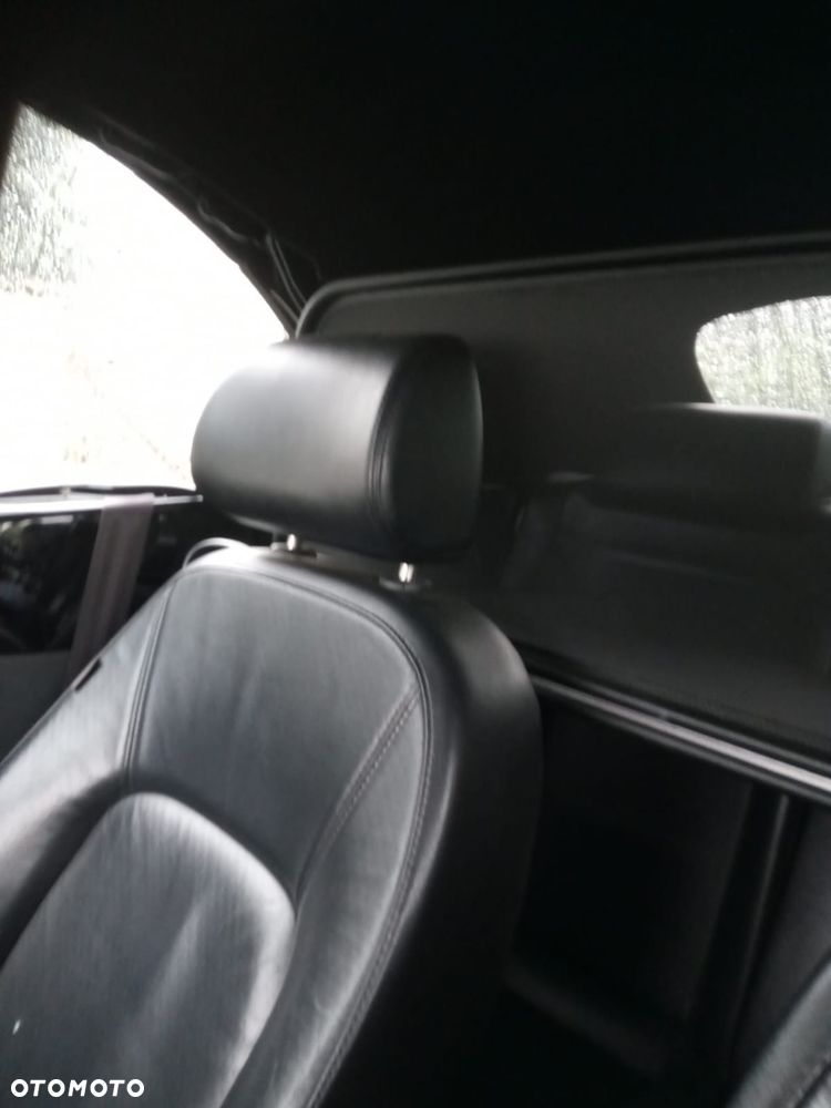 Volkswagen Beetle - 7