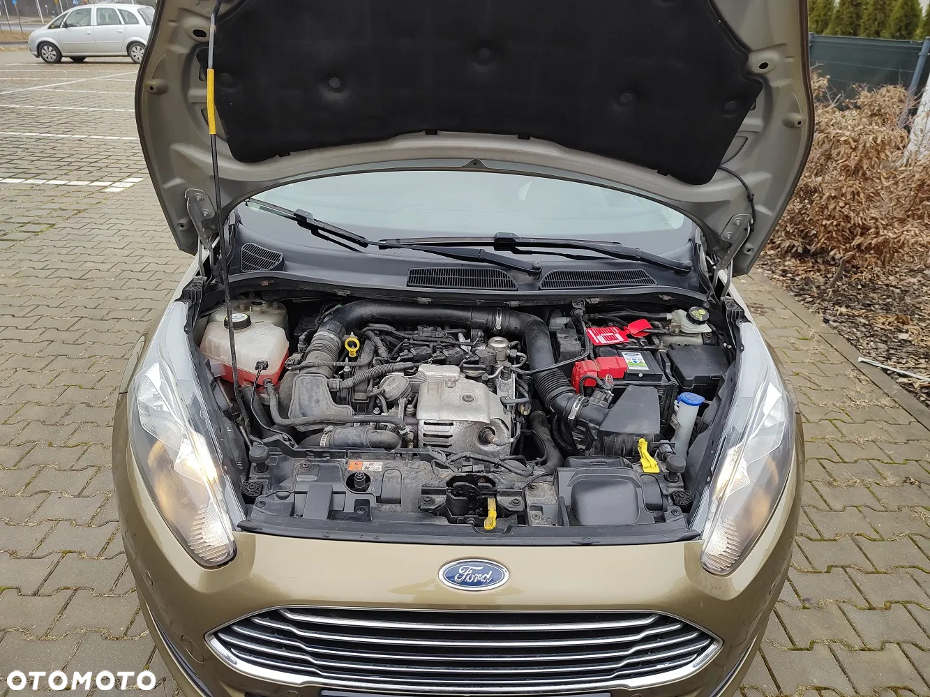 Ford Fiesta - 23