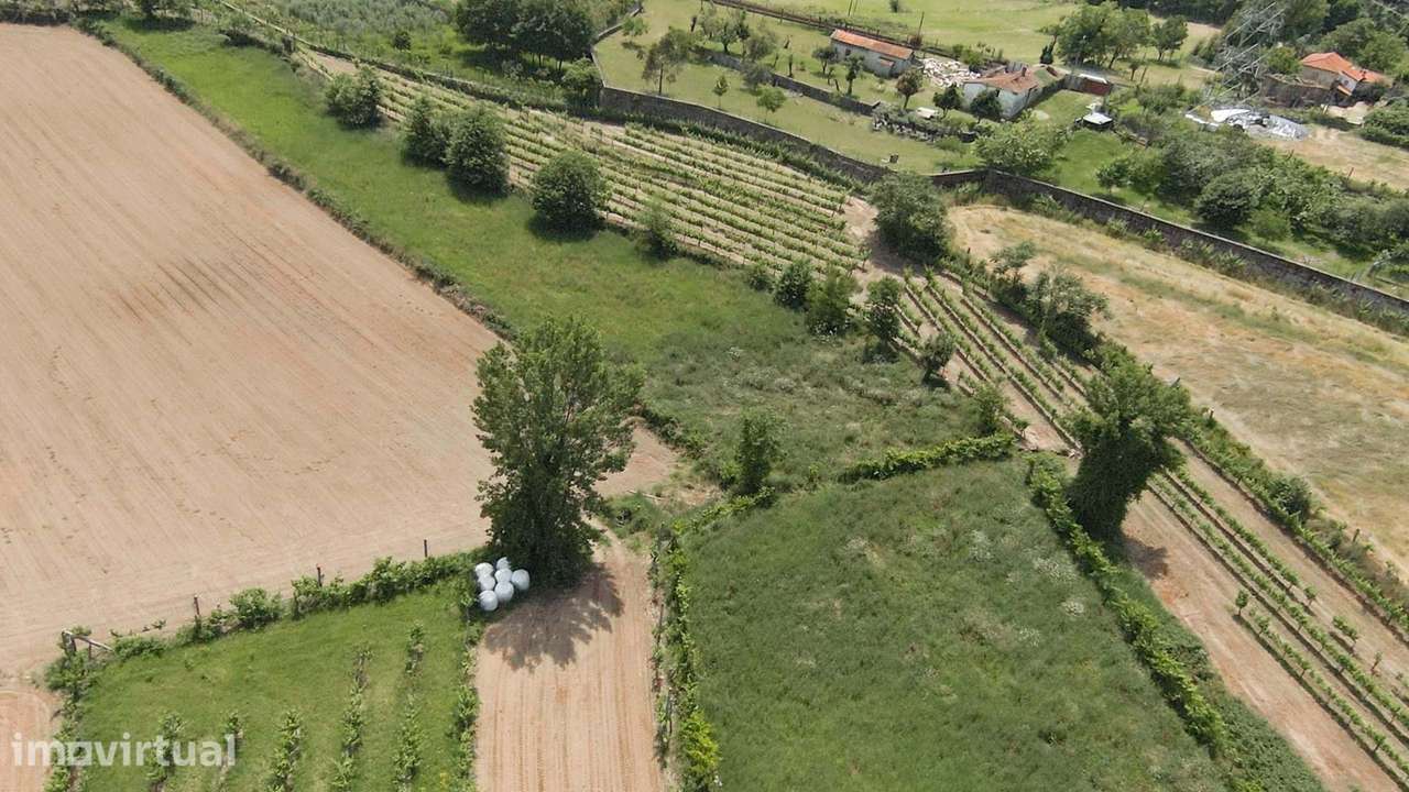 Terreno Agrícola  em Longos/Guimarães - Grande imagem: 2/10