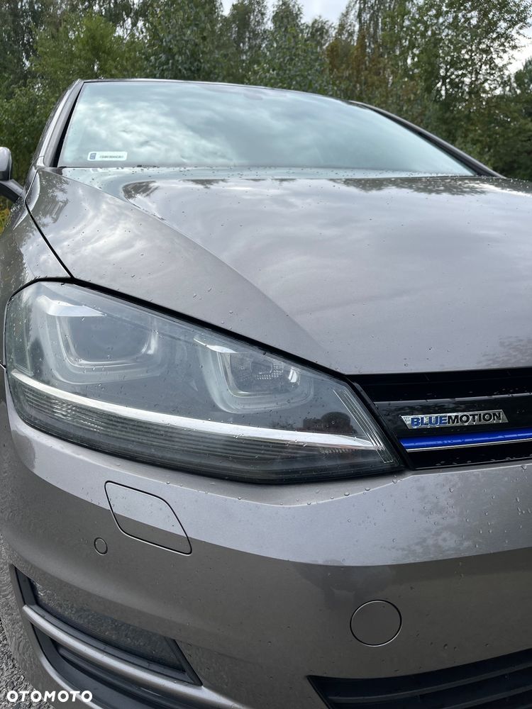Volkswagen Golf 1.6 TDI BMT Comfortline - 22