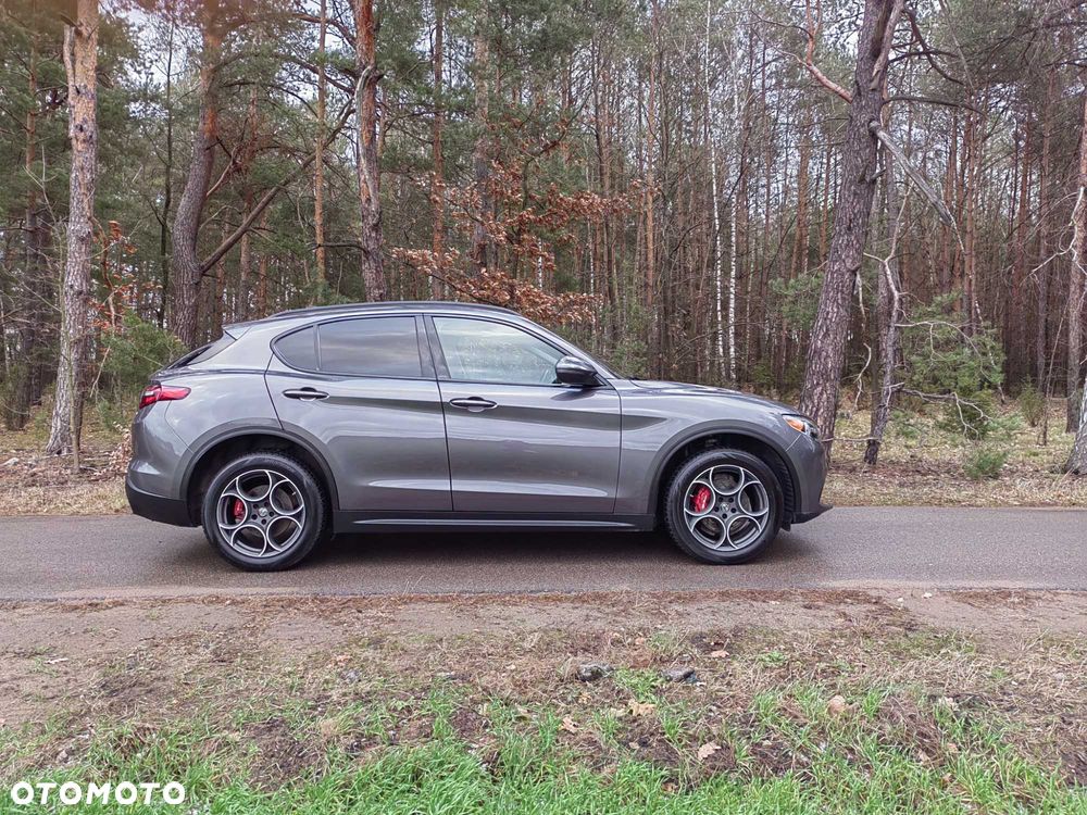 Alfa Romeo Stelvio - 5
