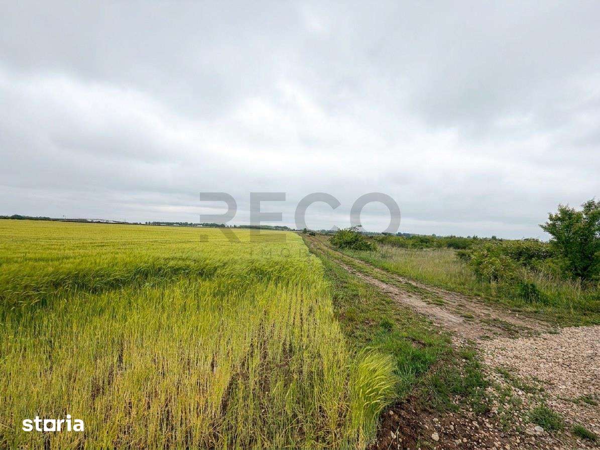 RECO teren extravilan 6400 mp cu dubla deschidere la strada - acces di - Imagine principală: 3/3
