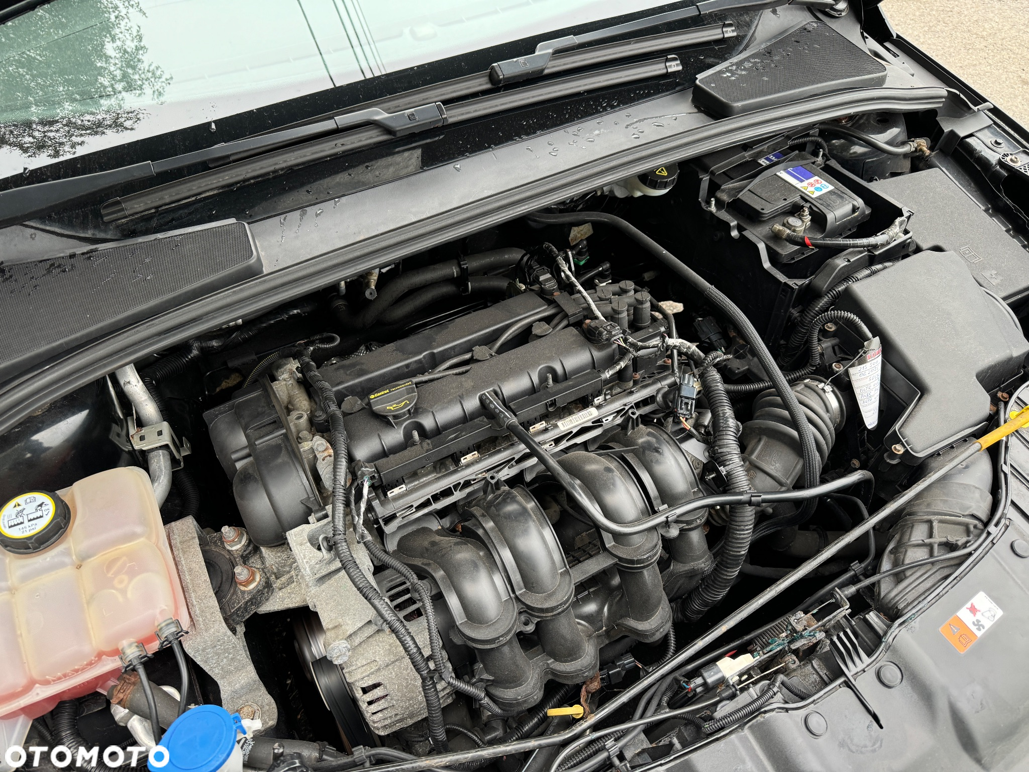 Ford Focus 1.6 Edition - 25