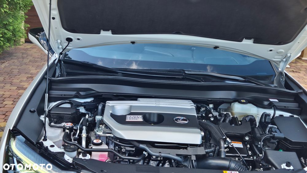 Lexus UX 250h GPF Business 2WD - 10