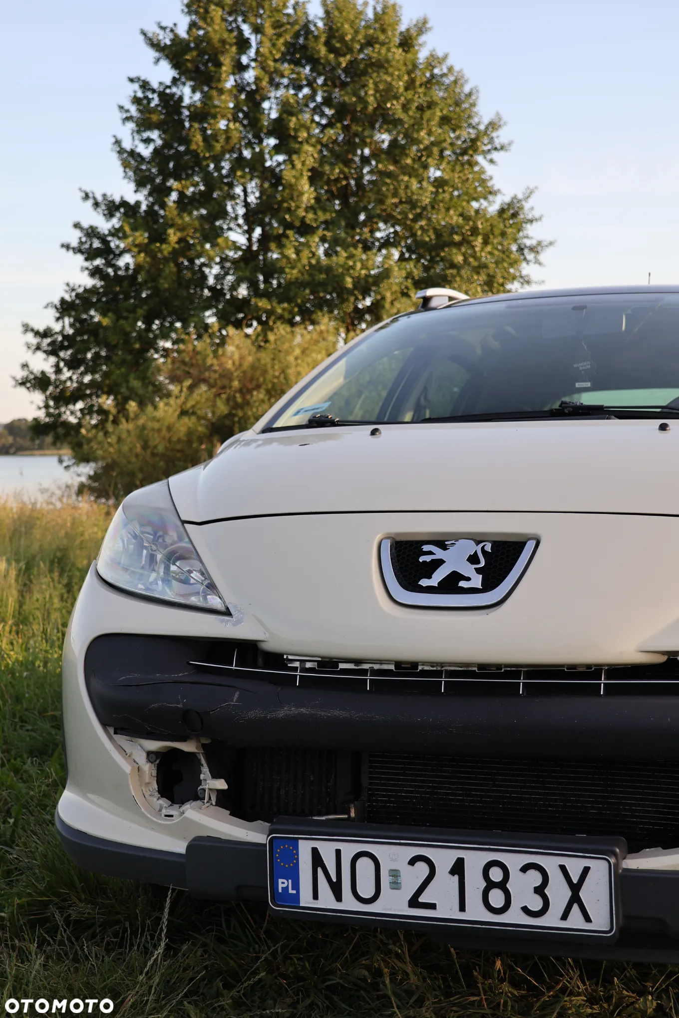 Peugeot 207 Outdoor 1.6 HDi - 13