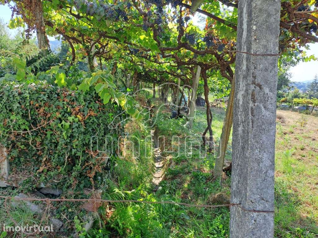 Terreno Urbanizável Gondarém - Grande imagem: 3/16