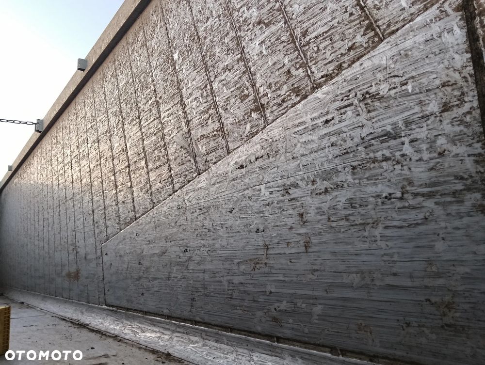 Schmitz Cargobull Ski - 14